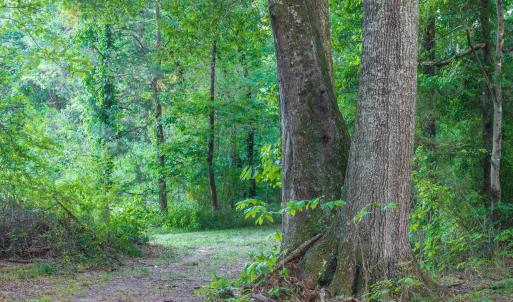 Photo #48 of TBD BRIDGEPORT RD, ARVONIA, VA 29.6 acres