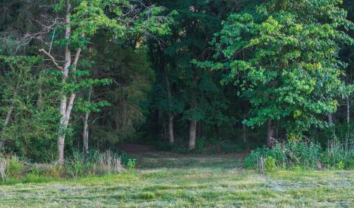 Photo #45 of TBD BRIDGEPORT RD, ARVONIA, VA 29.6 acres