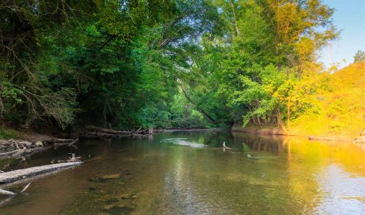 Photo #37 of TBD BRIDGEPORT RD, ARVONIA, VA 29.6 acres
