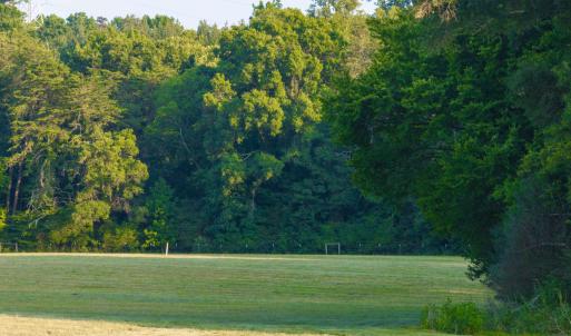 Photo #10 of TBD BRIDGEPORT RD, ARVONIA, VA 29.6 acres