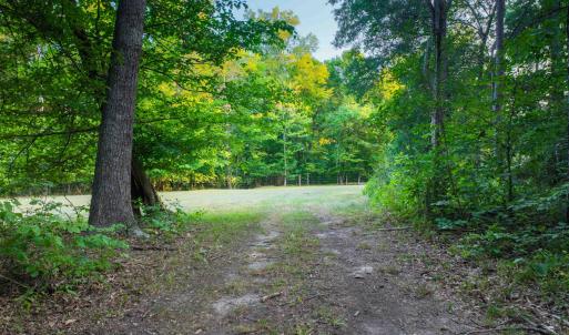 Photo #51 of TBD BRIDGEPORT RD, ARVONIA, VA 29.6 acres