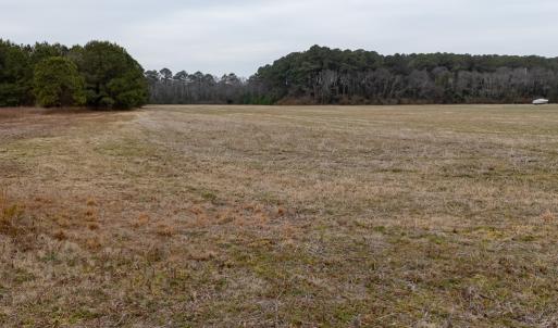 Photo #14 of SAND HILL DR, CAPE CHARLES, VA 19.4 acres