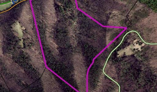 Photo #3 of TBD CRIDERS RD, BERGTON, VA 54.5 acres