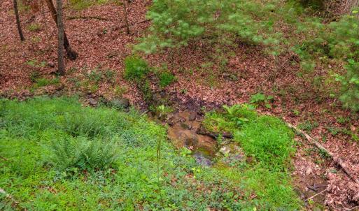 Photo #9 of TBD CRIDERS RD, BERGTON, VA 54.5 acres