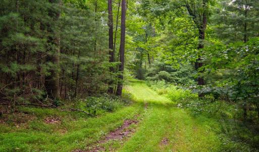 Photo #10 of TBD CRIDERS RD, BERGTON, VA 54.5 acres