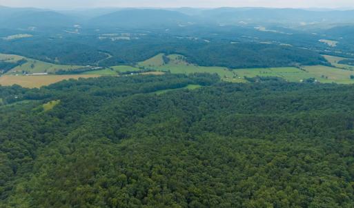 Photo #21 of TBD CRIDERS RD, BERGTON, VA 54.5 acres
