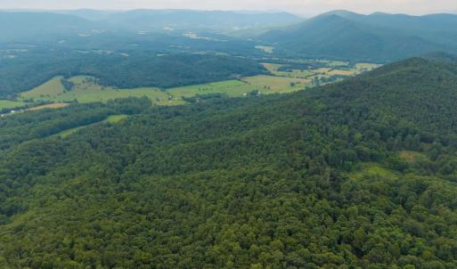 Photo #19 of TBD CRIDERS RD, BERGTON, VA 54.5 acres