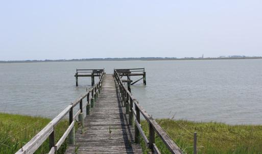 Photo #12 of Lot 20 SANDPIPER LANE, ATLANTIC, VA 153.0 acres