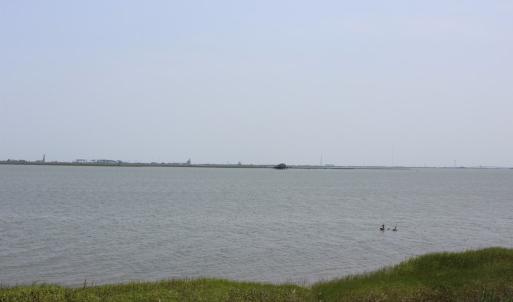 Photo #14 of Lot 20 SANDPIPER LANE, ATLANTIC, VA 153.0 acres