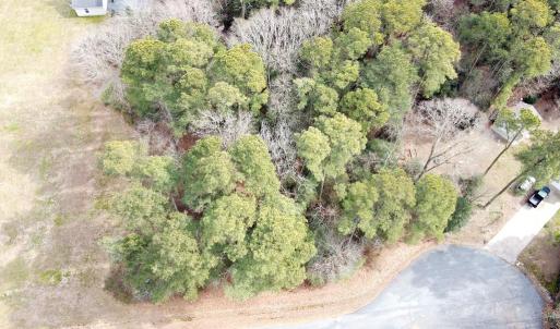 Photo #4 of Lot 20 SANDPIPER LANE, ATLANTIC, VA 153.0 acres
