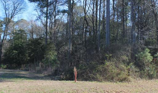 Photo #5 of Lot 20 SANDPIPER LANE, ATLANTIC, VA 153.0 acres