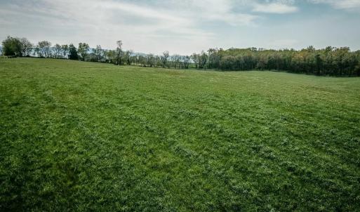 Photo #25 of TBD GRASSLAND LN, BROADWAY, VA 25.8 acres