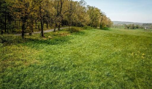 Photo #13 of TBD GRASSLAND LN, BROADWAY, VA 25.8 acres