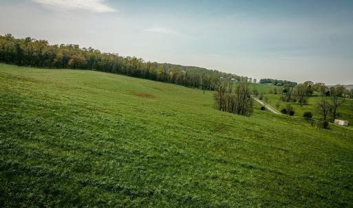 Photo #24 of TBD GRASSLAND LN, BROADWAY, VA 25.8 acres