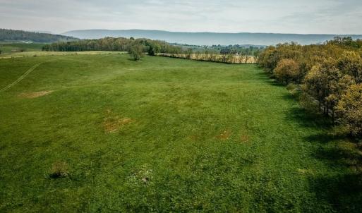 Photo #18 of TBD GRASSLAND LN, BROADWAY, VA 25.8 acres
