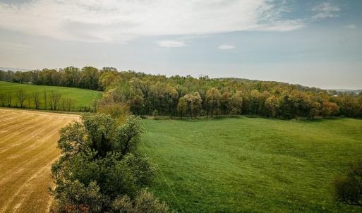 Photo #6 of TBD GRASSLAND LN, BROADWAY, VA 25.8 acres