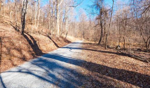 Photo #8 of TBD1 FOREST HOMES DR, ELKTON, VA 6.0 acres