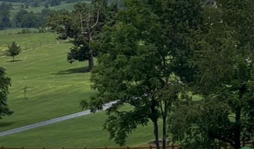 Photo #4 of TBD ROUDABUSH LN, CHURCHVILLE, VA 3.8 acres