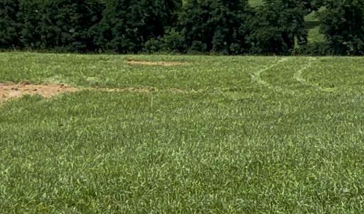Photo #3 of TBD ROUDABUSH LN, CHURCHVILLE, VA 3.8 acres
