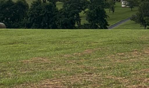 Photo #5 of TBD ROUDABUSH LN, CHURCHVILLE, VA 3.8 acres