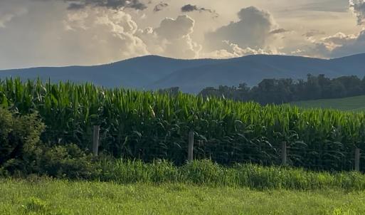 Photo #1 of TBD ROUDABUSH LN, CHURCHVILLE, VA 3.8 acres