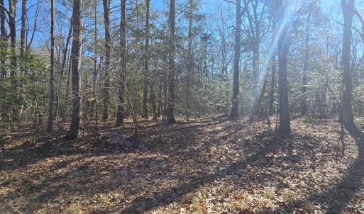 Photo #10 of Lot 16 LUCAS TR, MACHIPONGO, VA 3.8 acres