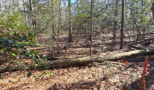 Photo #12 of Lot 16 LUCAS TR, MACHIPONGO, VA 3.8 acres