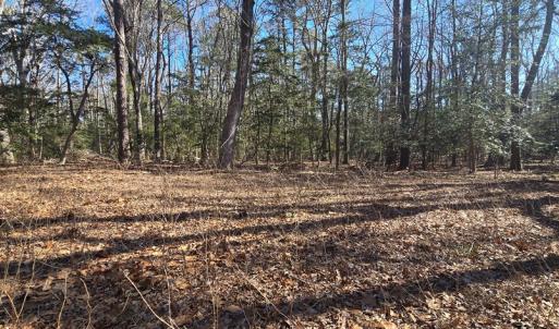 Photo #13 of Lot 16 LUCAS TR, MACHIPONGO, VA 3.8 acres