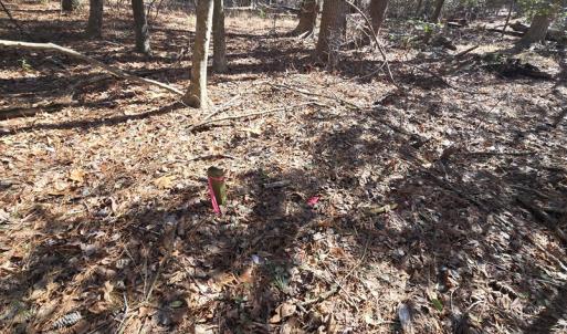 Photo #18 of Lot 16 LUCAS TR, MACHIPONGO, VA 3.8 acres