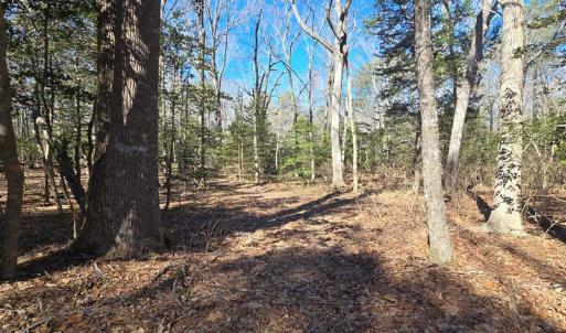 Photo #2 of Lot 16 LUCAS TR, MACHIPONGO, VA 3.8 acres