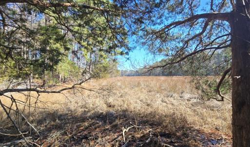 Photo #20 of Lot 16 LUCAS TR, MACHIPONGO, VA 3.8 acres