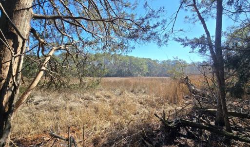 Photo #9 of Lot 16 LUCAS TR, MACHIPONGO, VA 3.8 acres