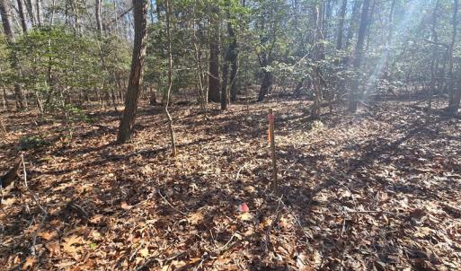 Photo #11 of Lot 16 LUCAS TR, MACHIPONGO, VA 3.8 acres