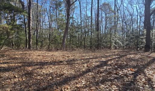 Photo #14 of Lot 16 LUCAS TR, MACHIPONGO, VA 3.8 acres
