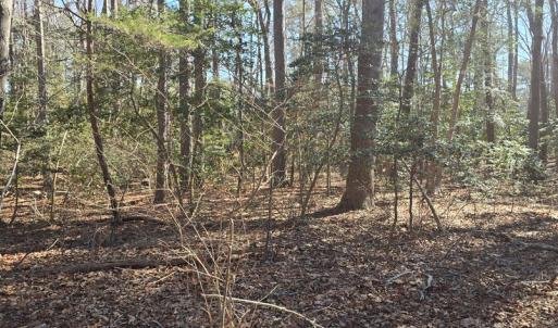 Photo #16 of Lot 16 LUCAS TR, MACHIPONGO, VA 3.8 acres