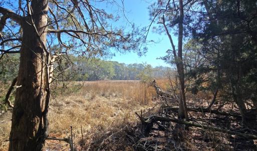 Photo #21 of Lot 16 LUCAS TR, MACHIPONGO, VA 3.8 acres