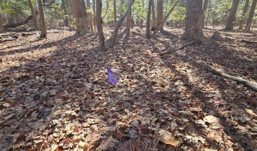 Photo #22 of Lot 16 LUCAS TR, MACHIPONGO, VA 3.8 acres