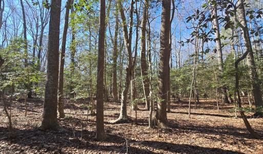Photo #23 of Lot 16 LUCAS TR, MACHIPONGO, VA 3.8 acres