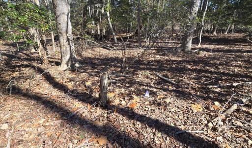 Photo #24 of Lot 16 LUCAS TR, MACHIPONGO, VA 3.8 acres
