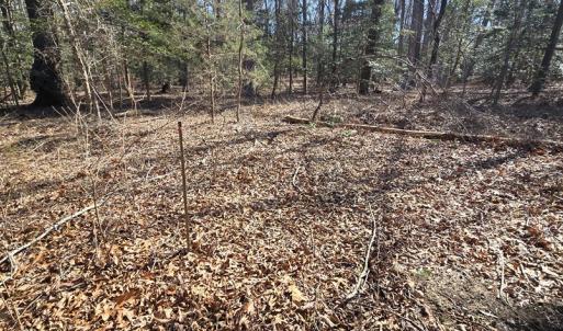 Photo #3 of Lot 16 LUCAS TR, MACHIPONGO, VA 3.8 acres