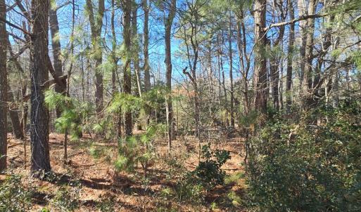 Photo #10 of Lot 3 PEACEFUL LAKES DR, EXMORE, VA 1.5 acres