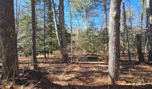 Photo #11 of Lot 3 PEACEFUL LAKES DR, EXMORE, VA 1.5 acres