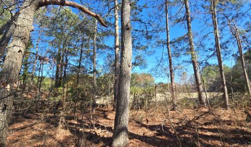 Photo #12 of Lot 3 PEACEFUL LAKES DR, EXMORE, VA 1.5 acres