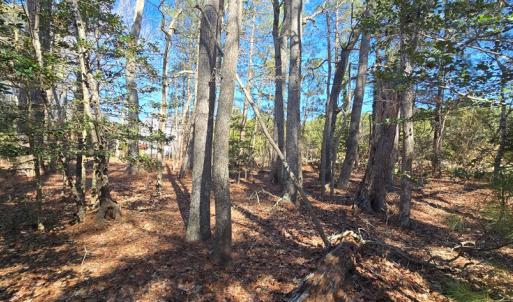Photo #13 of Lot 3 PEACEFUL LAKES DR, EXMORE, VA 1.5 acres