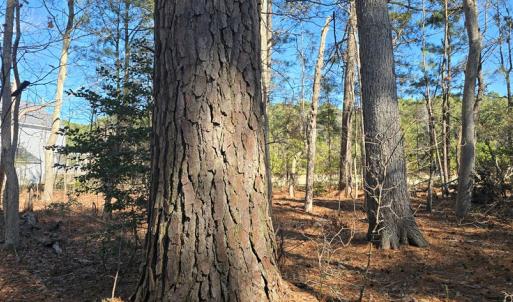 Photo #14 of Lot 3 PEACEFUL LAKES DR, EXMORE, VA 1.5 acres