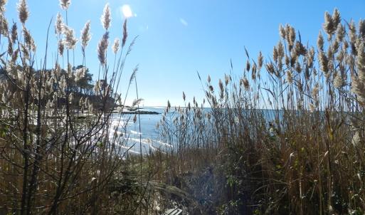 Photo #20 of Lot 3 PEACEFUL LAKES DR, EXMORE, VA 1.5 acres