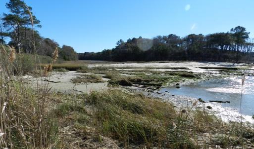 Photo #21 of Lot 3 PEACEFUL LAKES DR, EXMORE, VA 1.5 acres