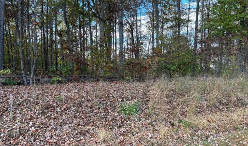 Photo #3 of LOT 9 RAINBOW RIDGE, BUMPASS, VA 0.9 acres