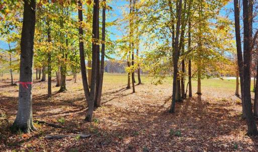 Photo #17 of LOT 9 RAINBOW RIDGE, BUMPASS, VA 0.9 acres