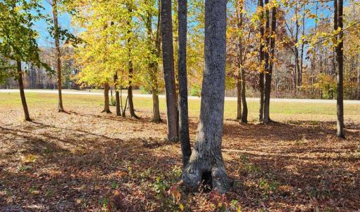 Photo #18 of LOT 9 RAINBOW RIDGE, BUMPASS, VA 0.9 acres